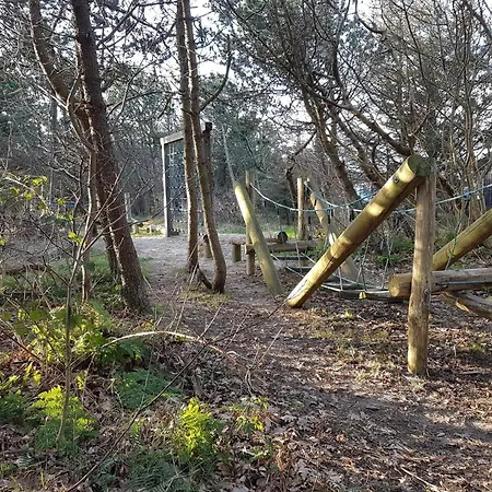 Feriehus 8 Person In Hjorring-by Traum